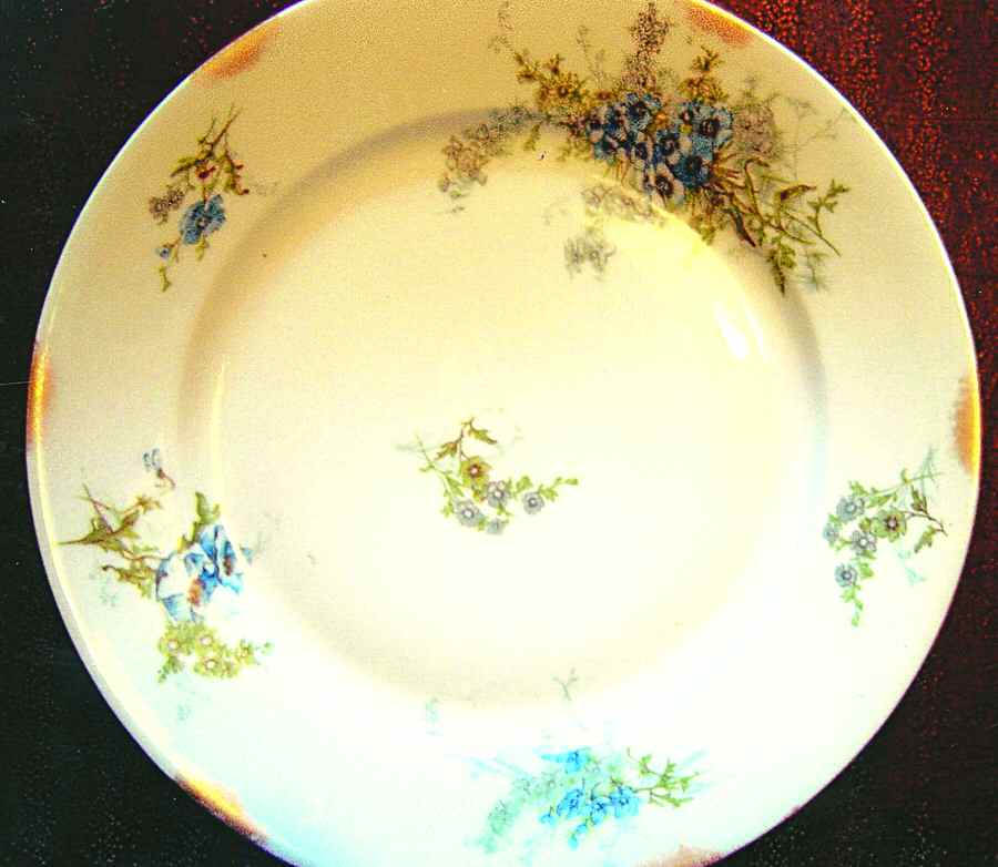 H3517 Dinner Plate by Haviland-1