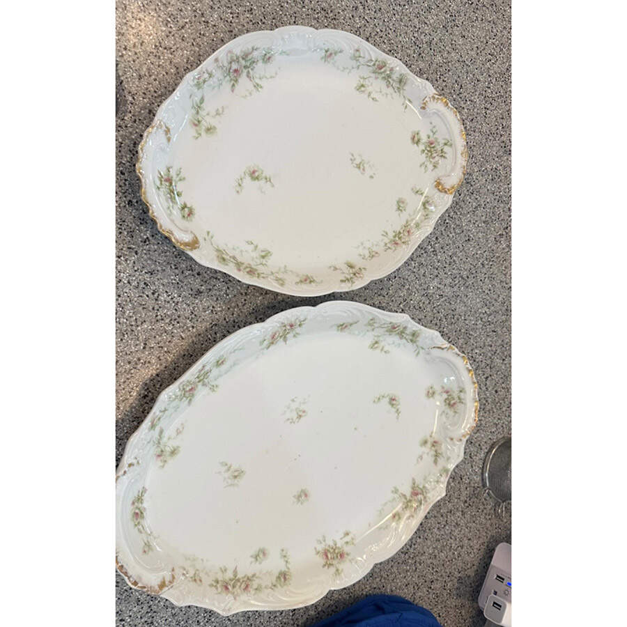 H3521 14" Oval Serving Platter by Haviland-1