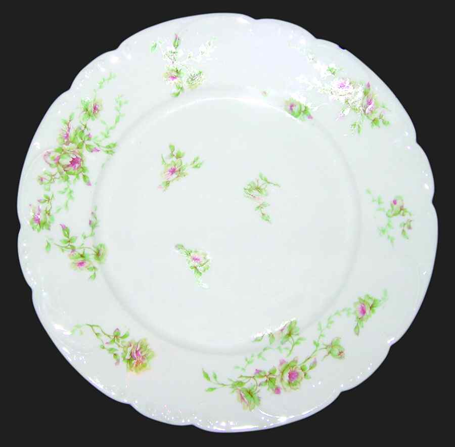 H3521 Dinner Plate by Haviland-1