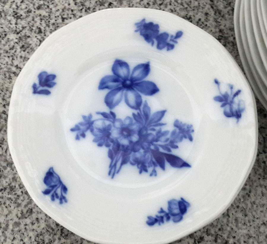 HUT1661 Salad Plate by Hutschenreuther-1