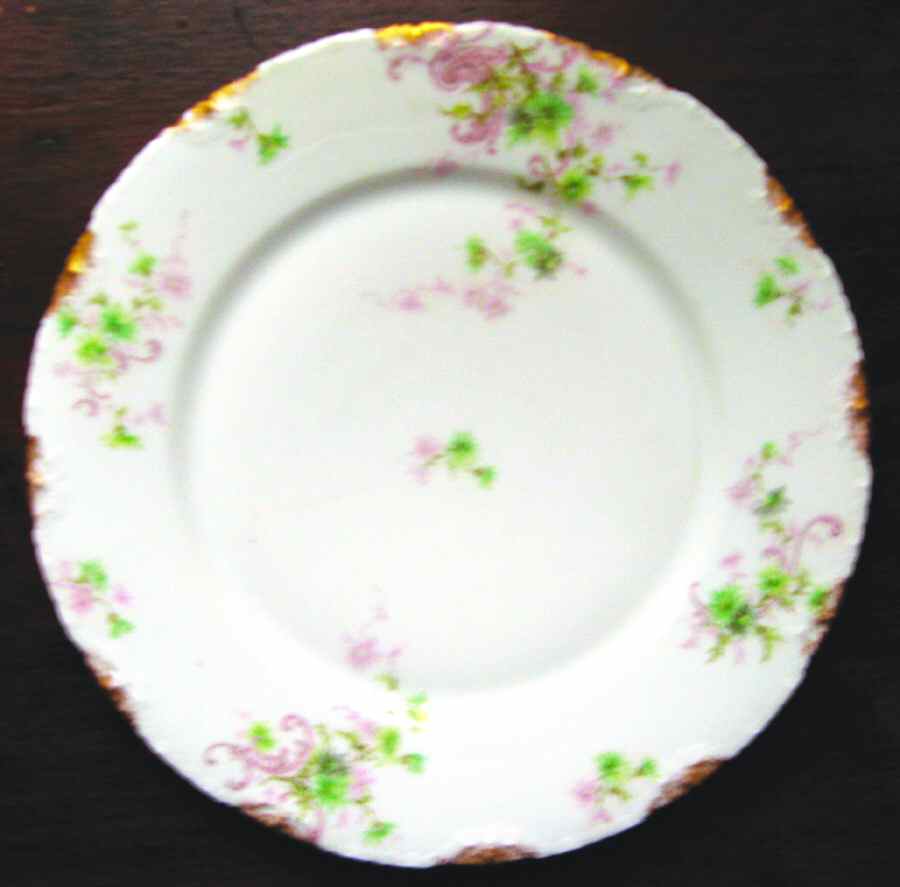 H3434 Dinner Plate by Haviland-1
