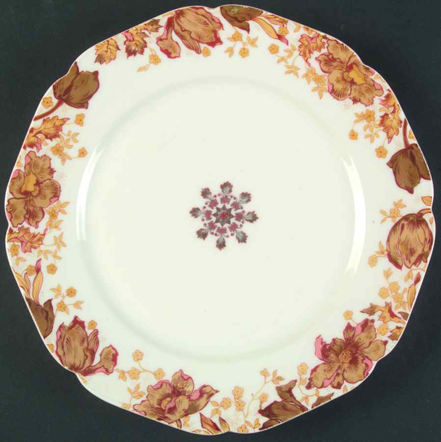 H3433 Dinner Plate by Haviland-1