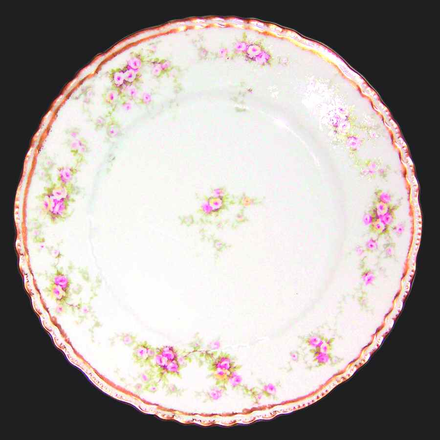 Schleiger 149-13 Dinner Plate by Haviland-1