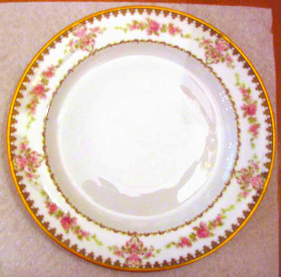 H3532 Dinner Plate by Haviland-1