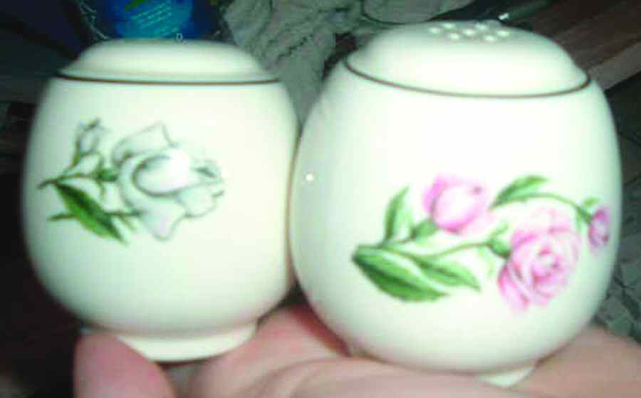 HLC2554 Salt & Pepper Set by Homer Laughlin -1