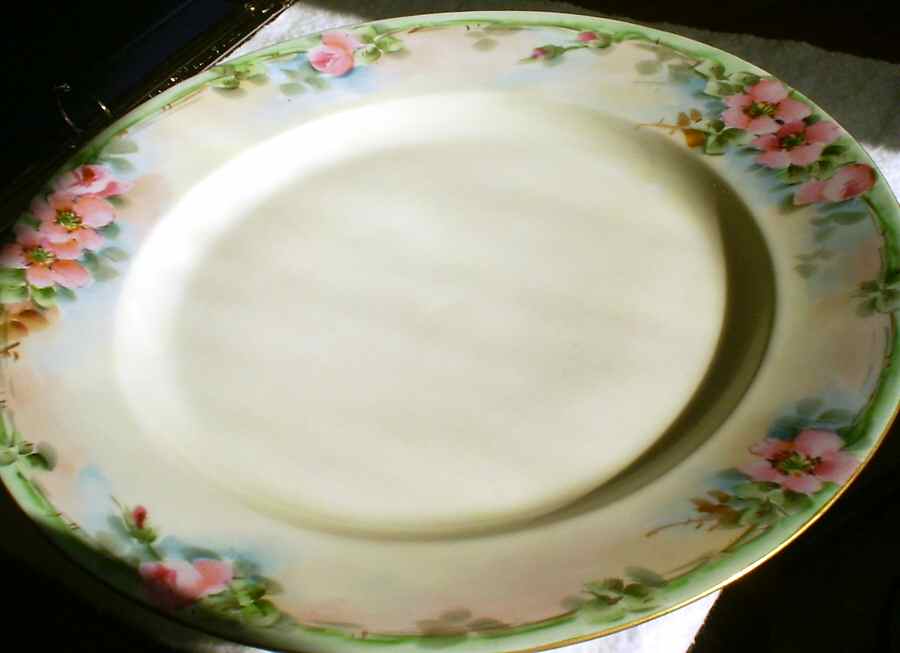 HUT1667 Dinner Plate by Hutschenreuther-1
