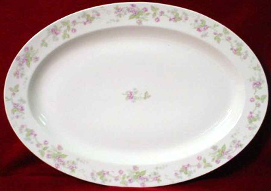 H3537 20" Oval Serving Platter by Haviland-1