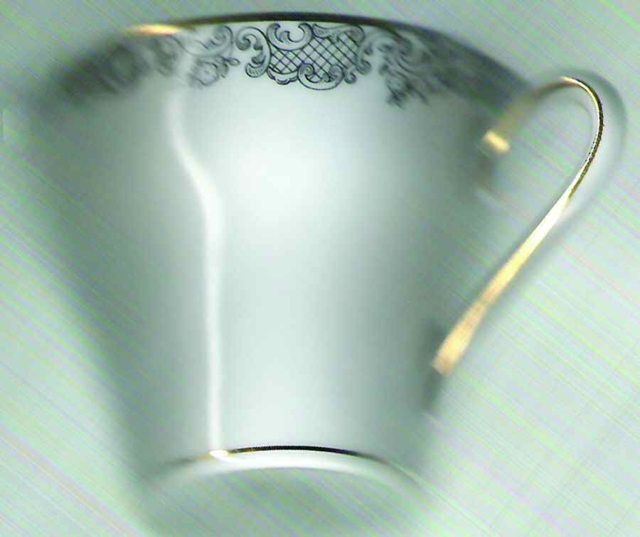 04919 Flat Cup by Hutschenreuther-1