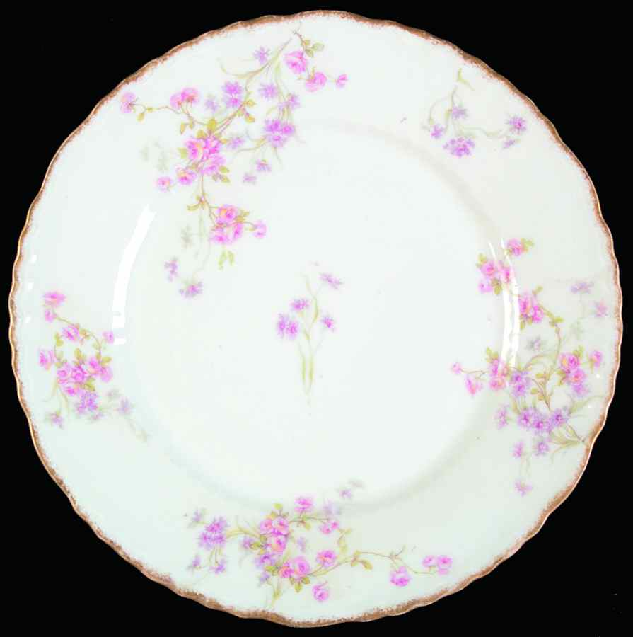Schleiger 309-8 Dinner Plate by Haviland-1