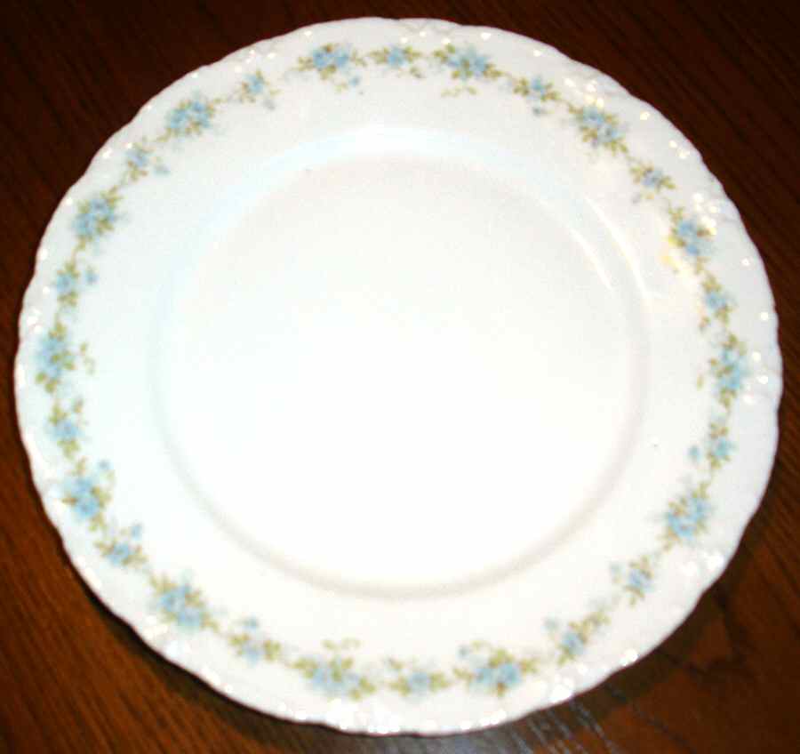 Schleiger 350-6 Dinner Plate by Haviland-1