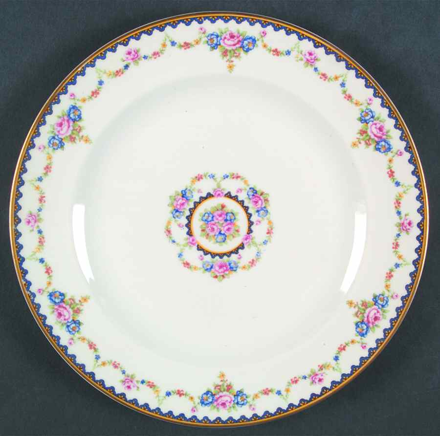 H3554 (White Body, No Verge) Dinner Plate by Haviland-1