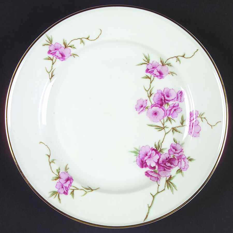 HUT1692 Salad Plate by Hutschenreuther-1