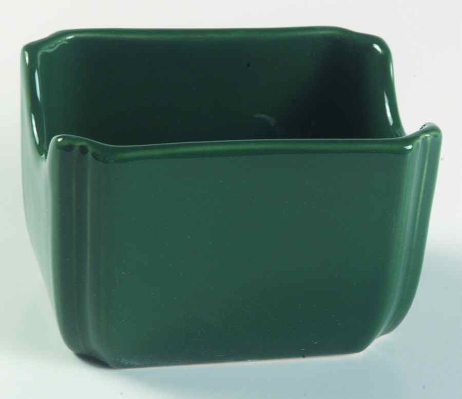 Fiesta Evergreen (Intro 2007) Sweetener Holder by Homer Laughlin -1