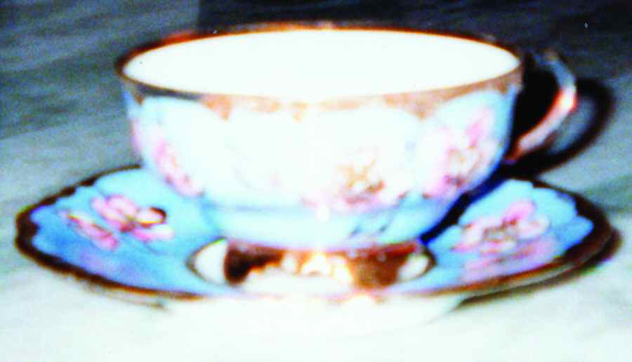 HUT1694 Footed Cup & Saucer Set by Hutschenreuther-1
