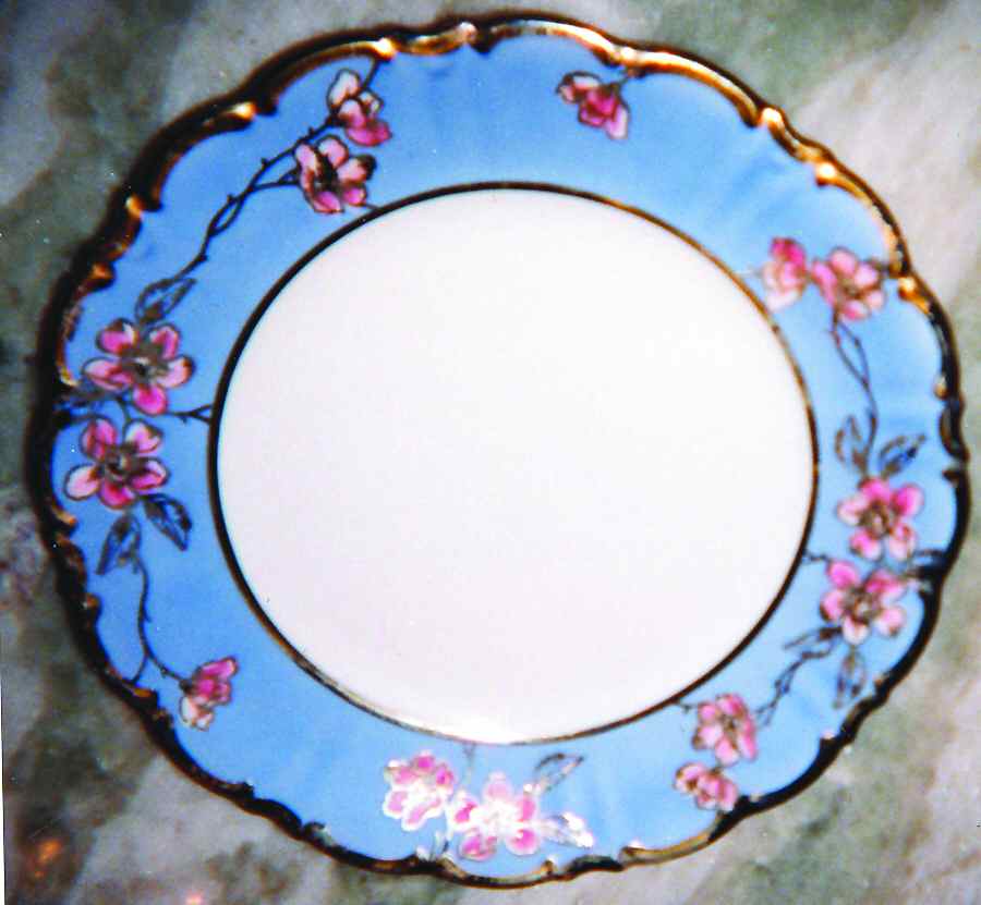 HUT1694 Dinner Plate by Hutschenreuther-1