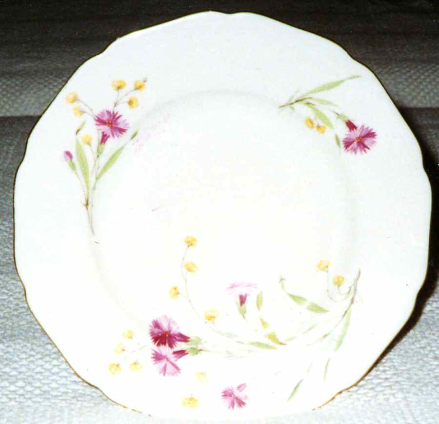02147 Dinner Plate by Hutschenreuther-1