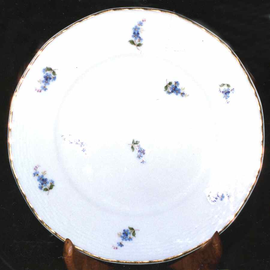 HUT1696 Dinner Plate by Hutschenreuther-1