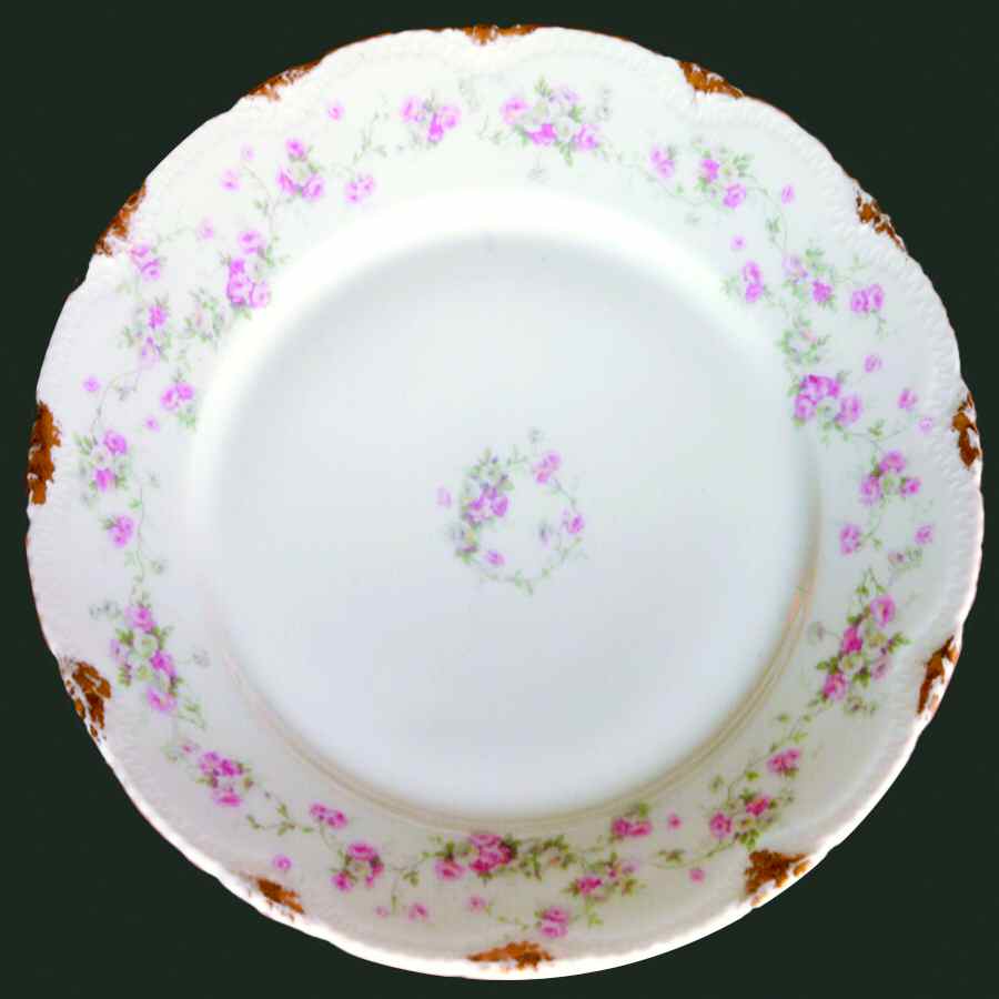 Schleiger 1246-6 Dinner Plate by Haviland-1