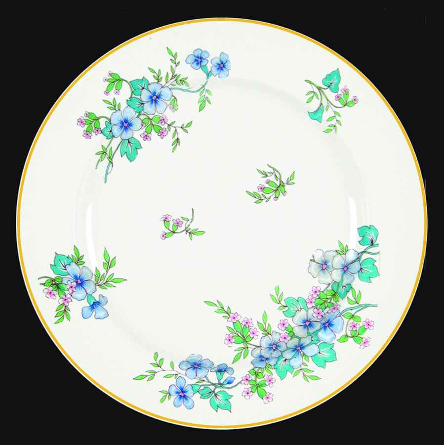 H3560 Dinner Plate by Haviland-1