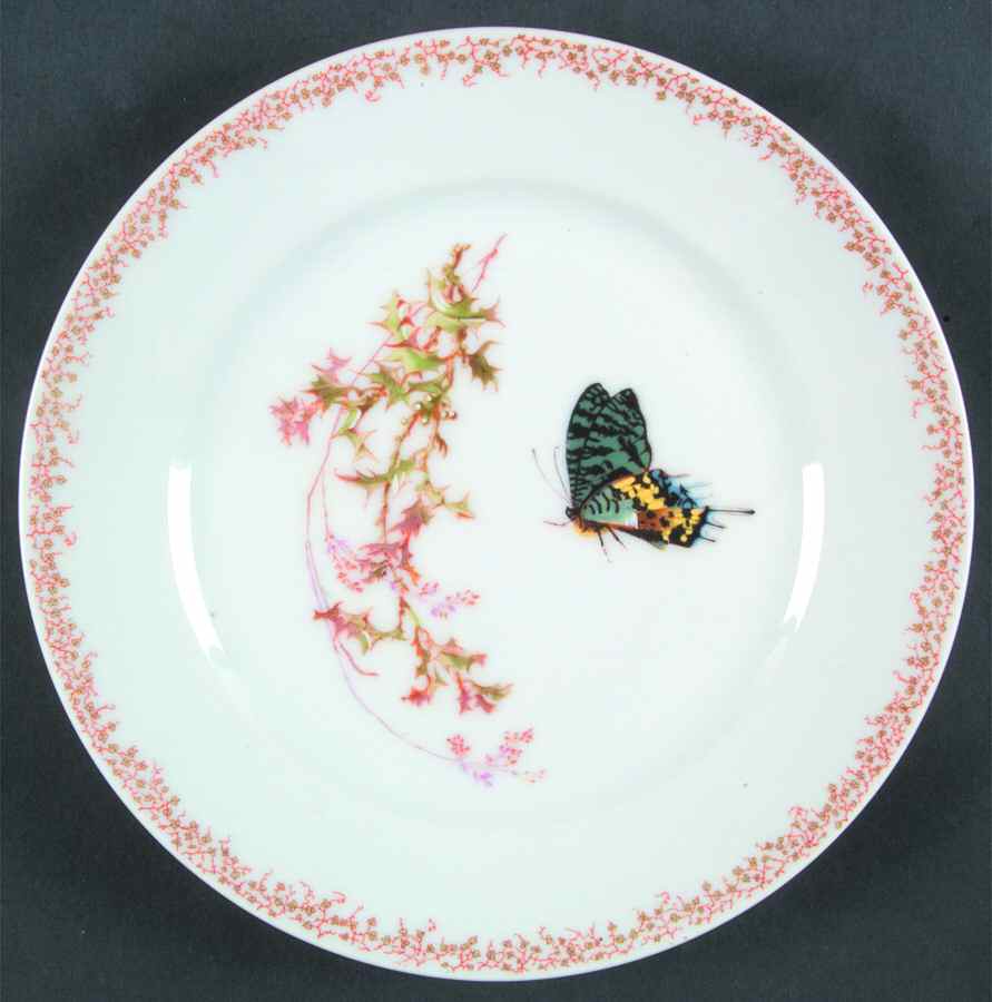 H3441 Salad Plate by Haviland-1
