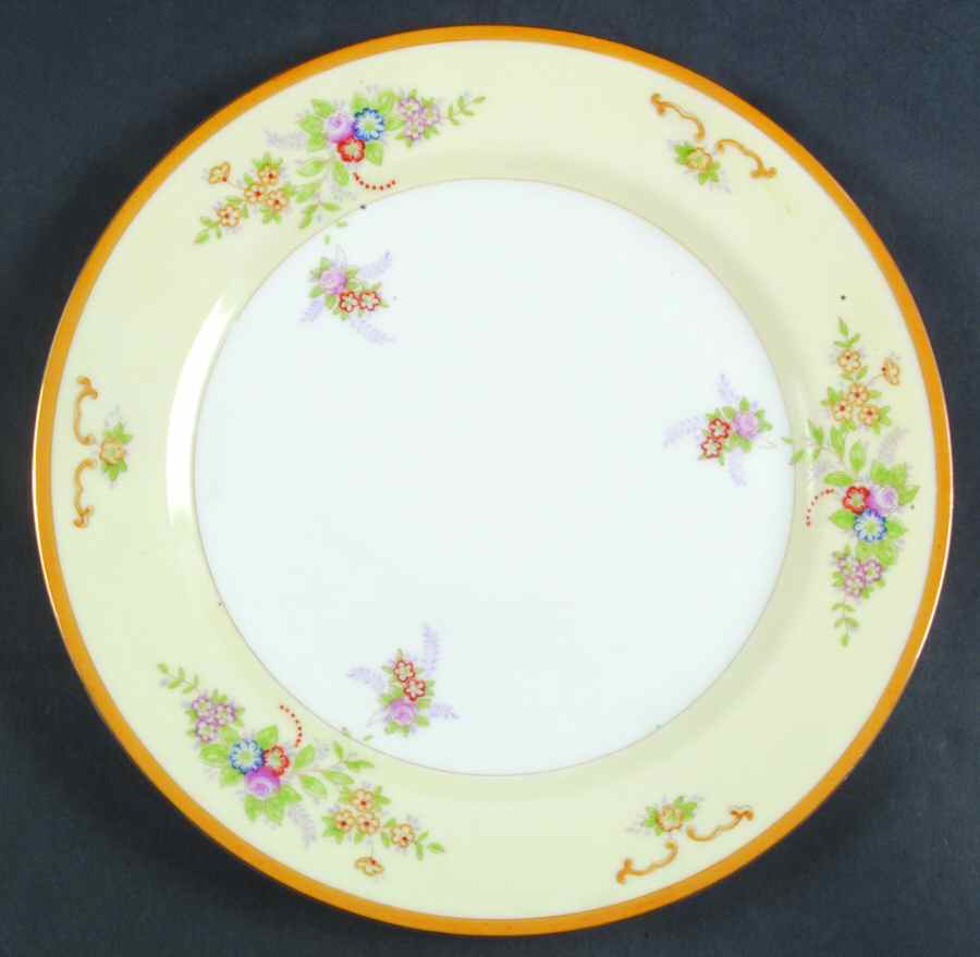 HIR59 Dinner Plate by Hira China-1