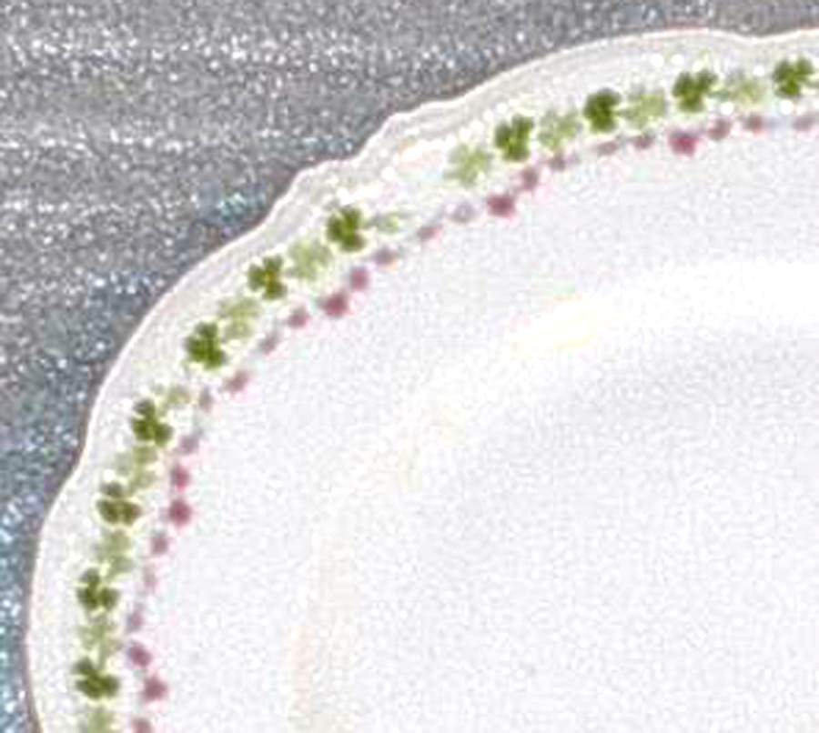 HAB91 Dinner Plate by Habsburg-1