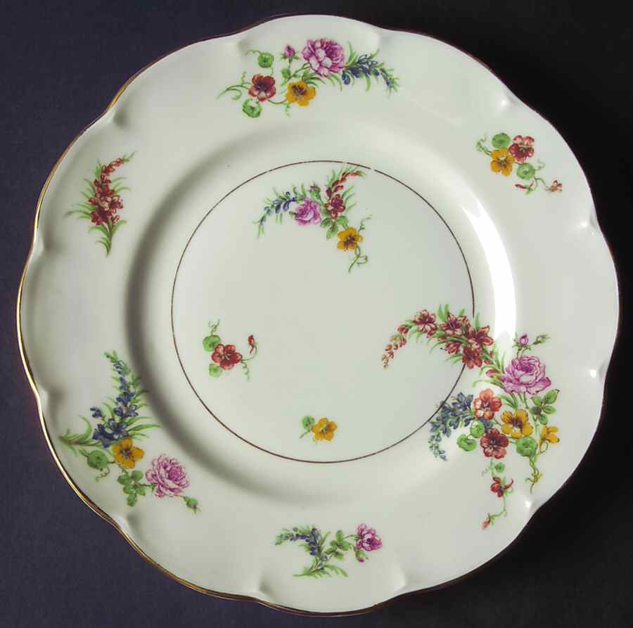 H3444 Dinner Plate by Haviland-1