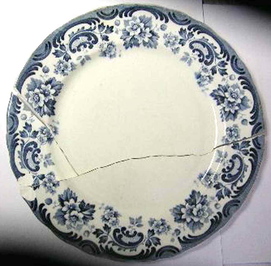 Ballarat Dinner Plate by Wm Hulme-1