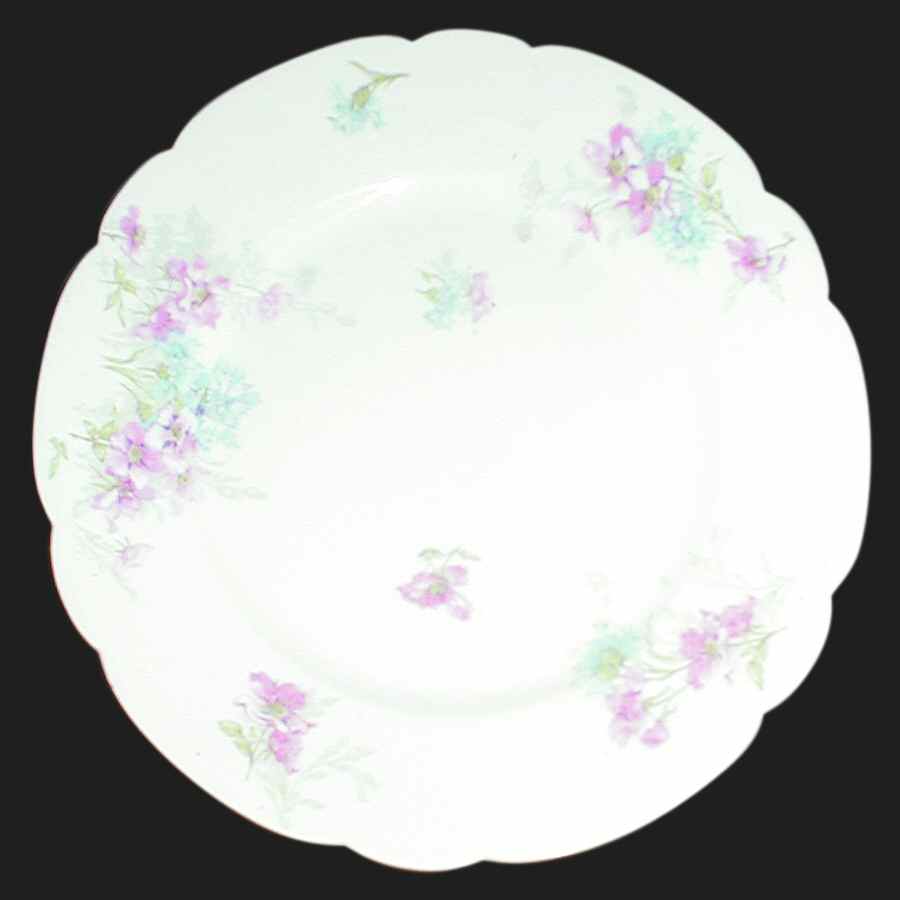H3570 Dinner Plate by Haviland-1