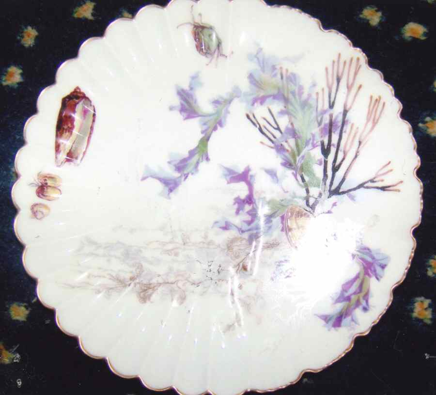 H3573 Salad Plate by Haviland-1