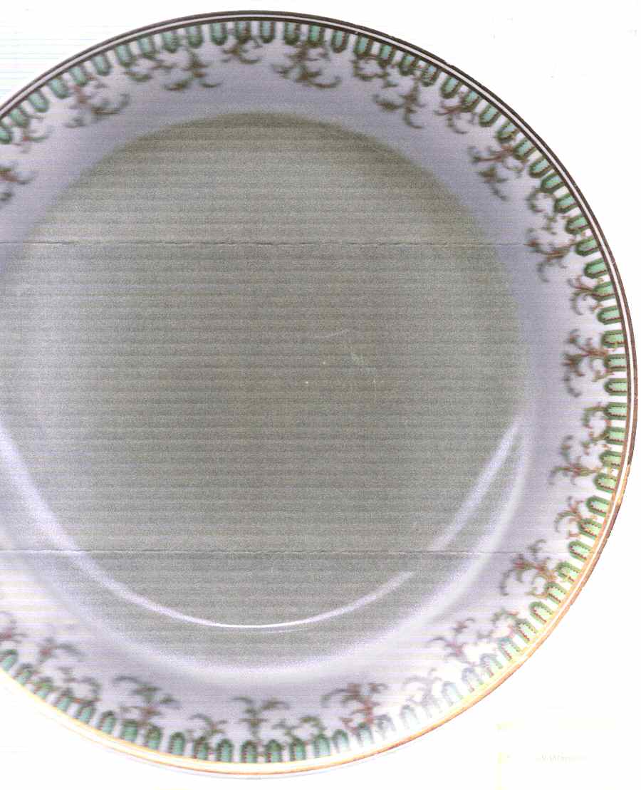 H3574 Dinner Plate by Haviland-1