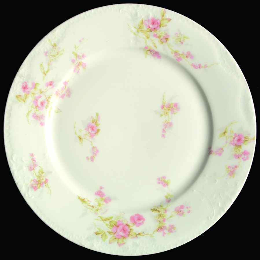 Schleiger 324-1 Dinner Plate by Haviland-1