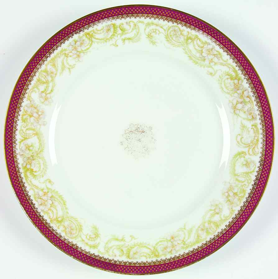 H3576 Dinner Plate by Haviland-1