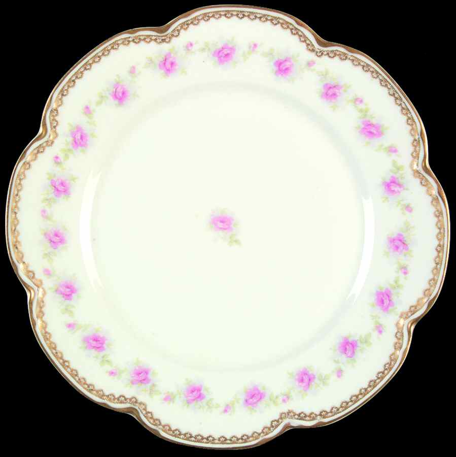 H3577 Dinner Plate by Haviland-1