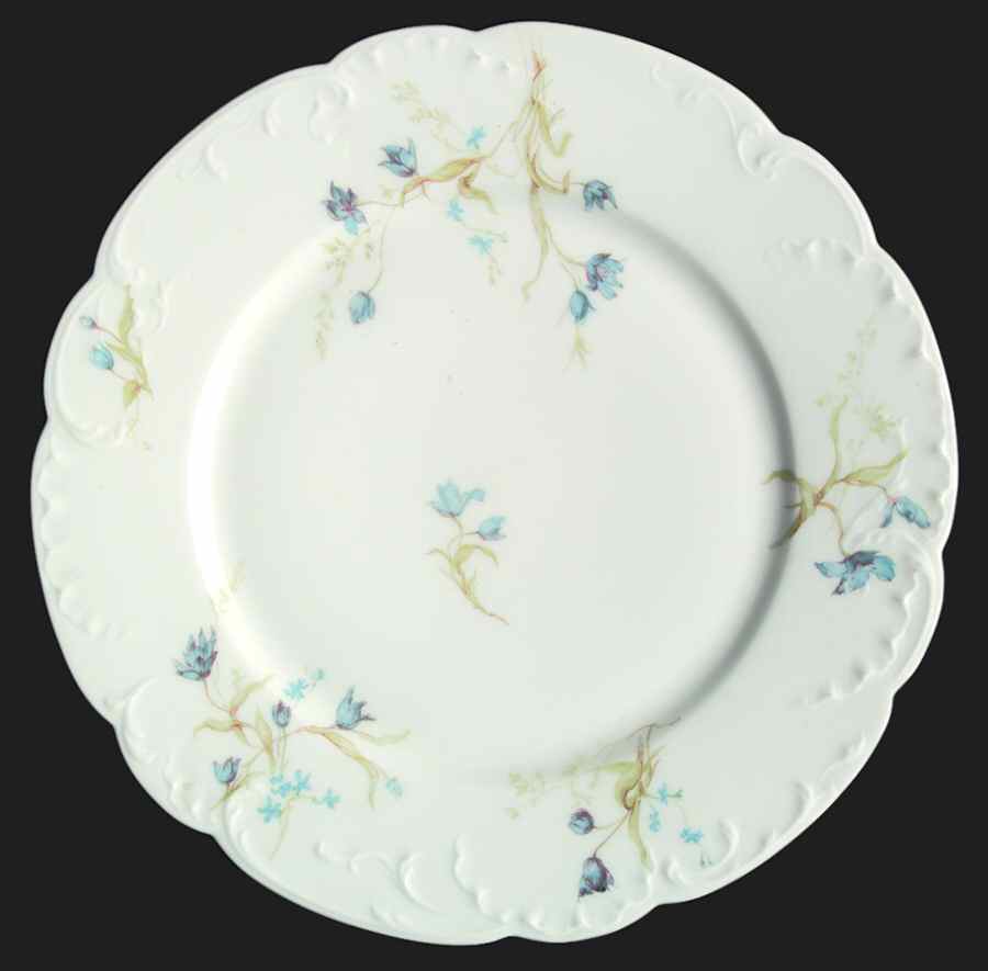 H3579 Dinner Plate by Haviland-1