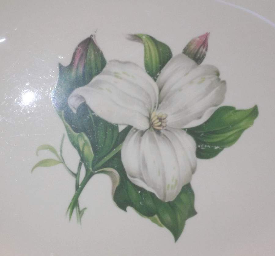 HLC3676 11" Oval Serving Platter by Homer Laughlin -1
