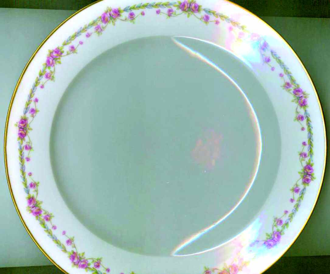 H3591 Dinner Plate by Haviland-1