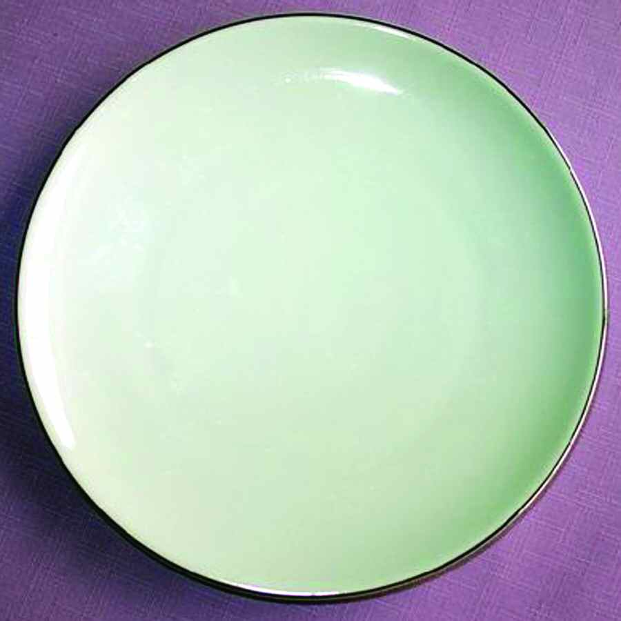 13290 Dinner Plate by Hutschenreuther-1