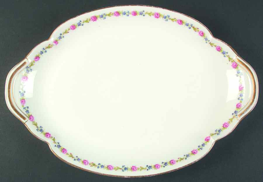 Schleiger 1263-3 14" Oval Serving Platter by Haviland-1