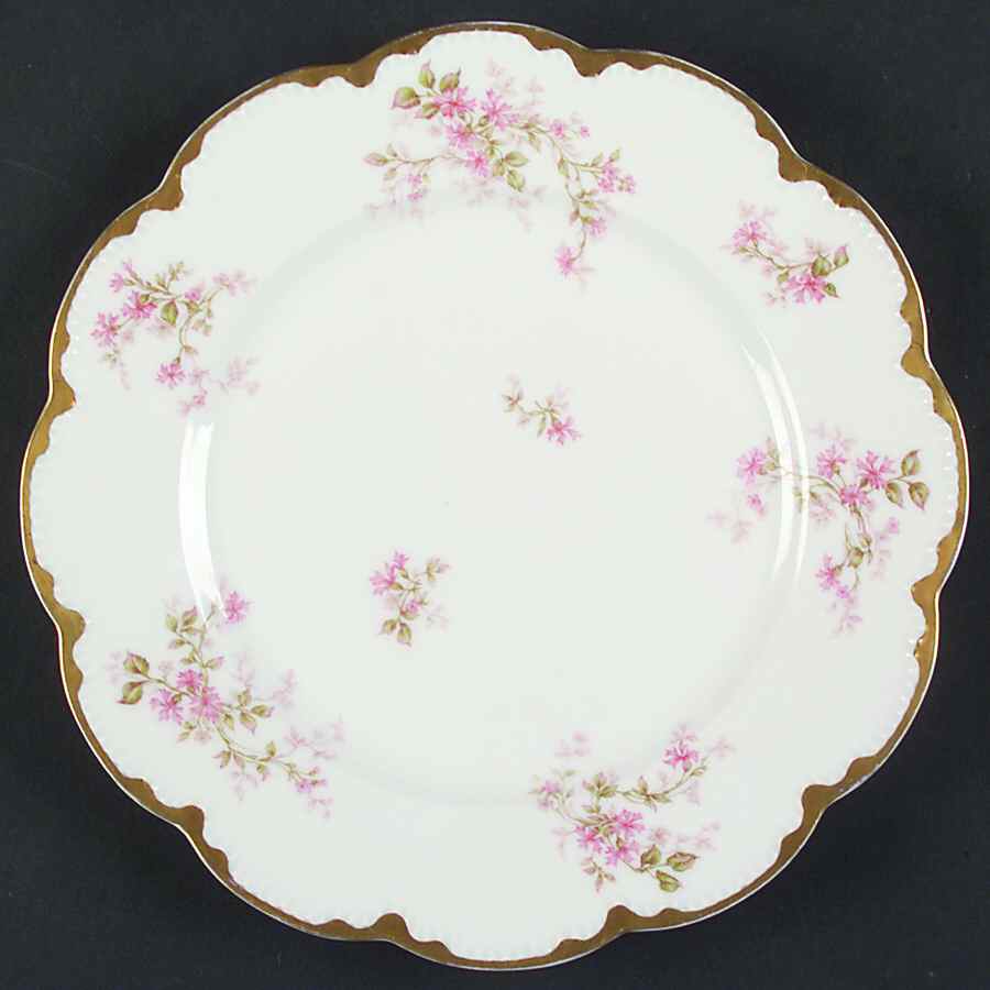 Schleiger 1181-1 Dinner Plate by Haviland-1