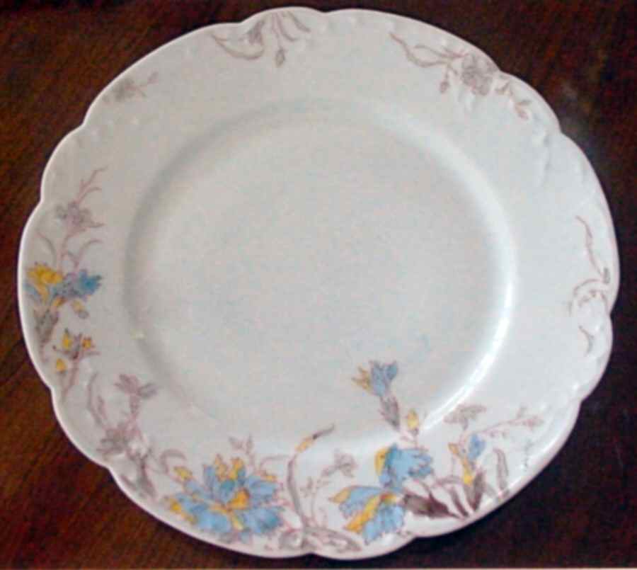 Schleiger 1158-12 Dinner Plate by Haviland-1