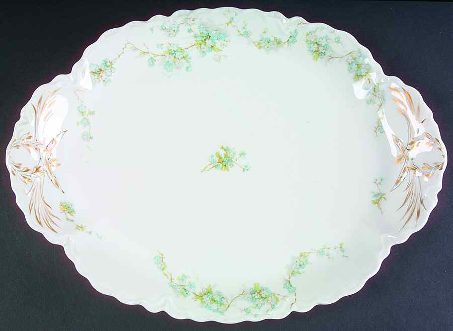 Schleiger 248B 16" Oval Serving Platter by Haviland-1