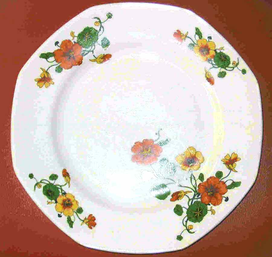 Y43 (No Trim) Dinner Plate by Homer Laughlin -1