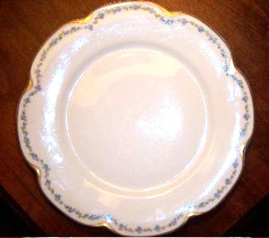 H3632 Dinner Plate by Haviland-1