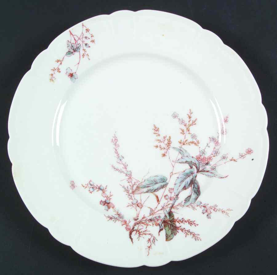 H3635 Dinner Plate by Haviland-1