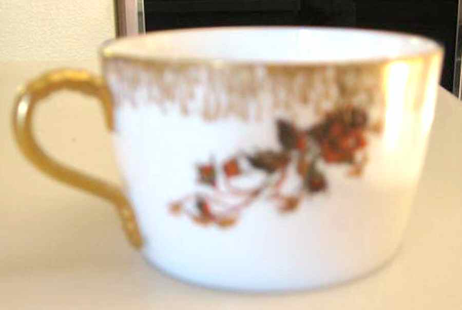 Schleiger 1152-34 Flat Cup by Haviland-1