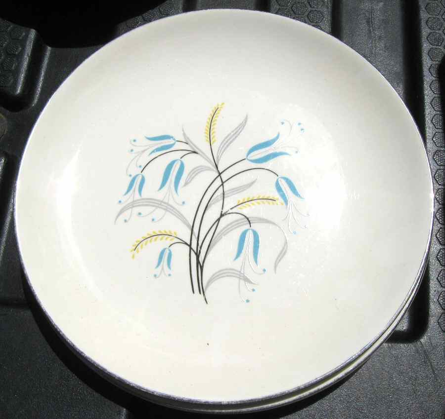 HLC3694 Dinner Plate by Homer Laughlin -1