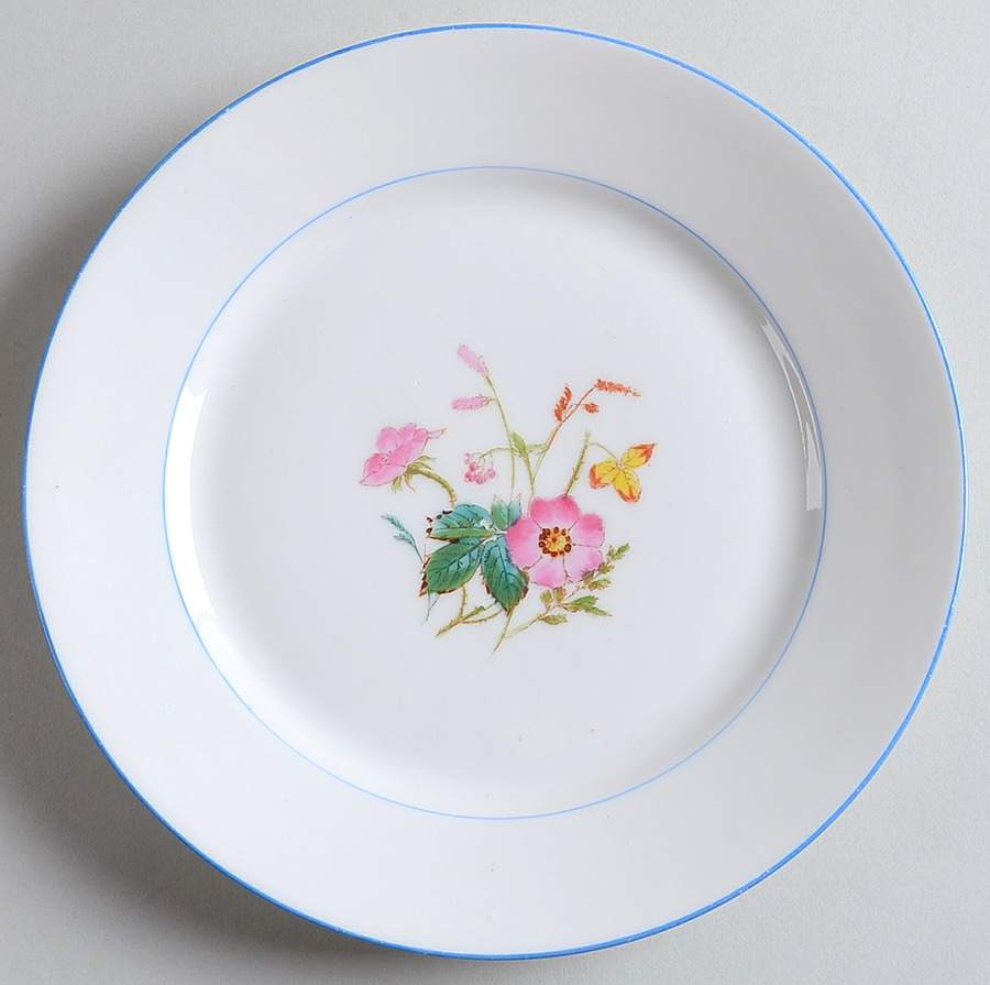 H3643 Salad Plate by Haviland-1
