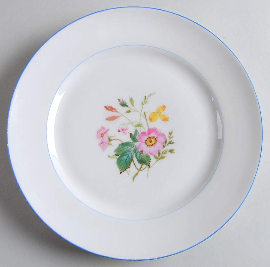 H3643 Dinner Plate by Haviland-1