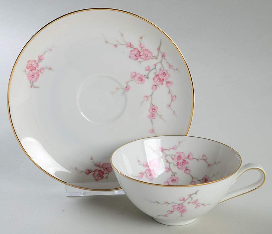 Almond Blossom Flat Cup & Saucer Set by Hutschenreuther-1